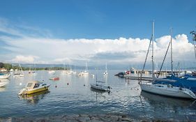 Seenaah auf der Insel Lindau Nr 8